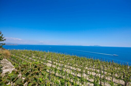 Wanderreise Ischia Wanderreise Ischia