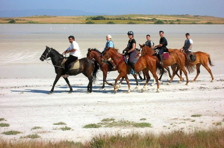 Horse Country Resort <div class="m-page-header__rating"><span class="m-page-header__rating--star"></span><span class="m-page-header__rating--star"></span><span class="m-page-header__rating--star"></span><span class="m-page-header__rating--star"></span></div>